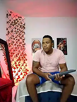 Snapshot of ARTHUR_MINI chatting on 04.01.26 ARTHUR MINI online show from 04.01.26