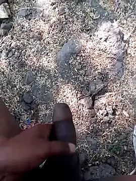 Ajith mvi online show from 03.12.26