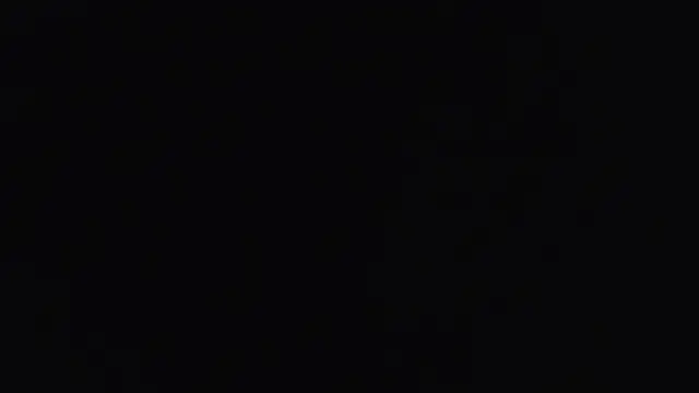 hailzeffn online show from 11.16.25