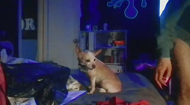 watermellonpussy online show from 12.28.24