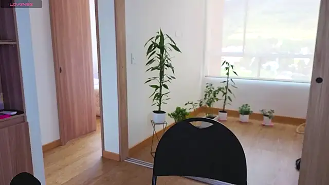 arteverena online show from 06.09.26
