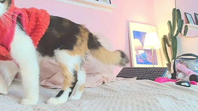 MARAFOX69 online show from 02.25.25