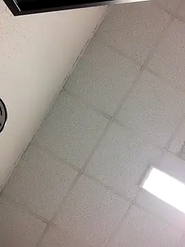 Fred bo online show from 10.24.25