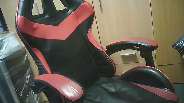 Javier bear online show from 10.17.25