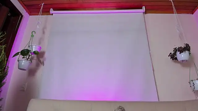 roselinedior online show from 01.27.25