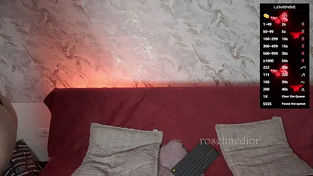 roselinedior online show from 11.26.25