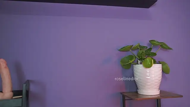 Snapshot of roselinedior chatting on 05.26.26 roselinedior online show from 05.26.26