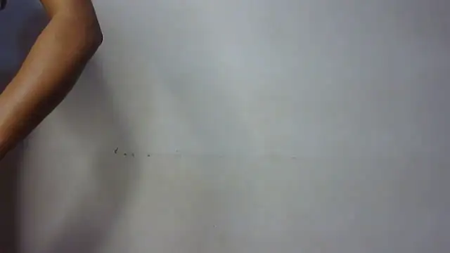 seema raani online show from 01.24.25