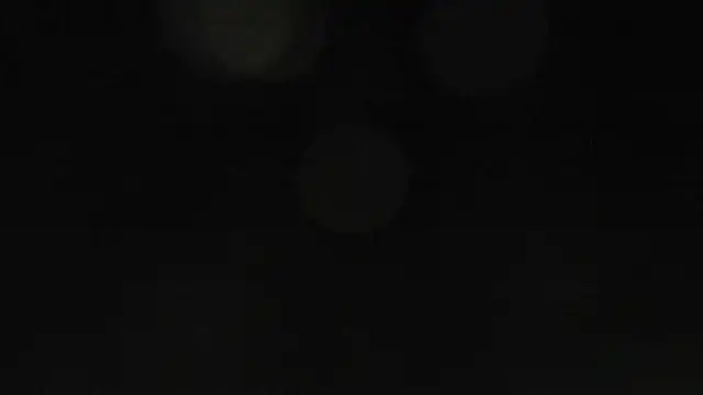 Bitch Coin online show from 11.17.25