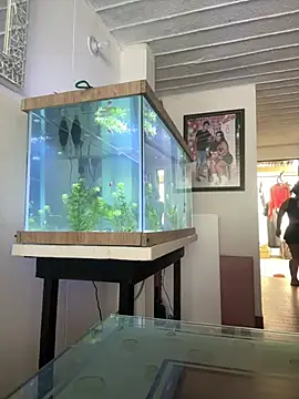 emmyjhonson07 online show from 03.30.26