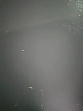 kamasutra20 online show from 12.19.25