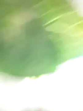 Wanda and cosmo  online show from 03.07.25