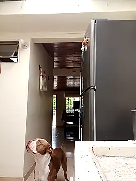 sebasxx97 online show from 03.10.25