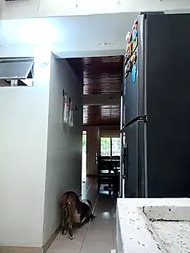 sebasxx97 online show from 02.11.26