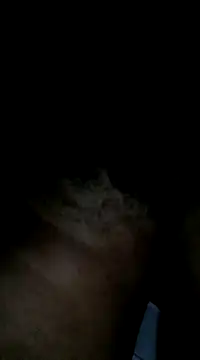 Sergipano fogozinho online show from 01.28.25