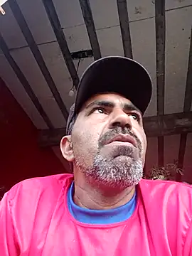 Sergipano fogozinho online show from 10.03.25