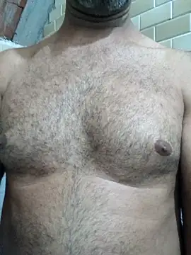 Sergipano fogozinho online show from 11.12.25