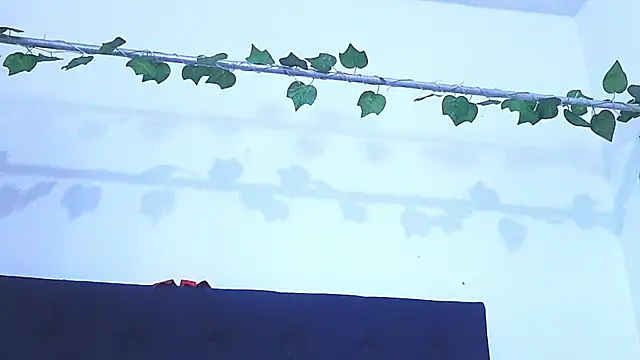 Snapshot of AliciaBasch chatting on 01.09.25 AliciaBasch online show from 01.09.25