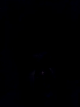 Snapshot of findmemylove chatting on 12.29.24 findmemylove online show from 12.29.24