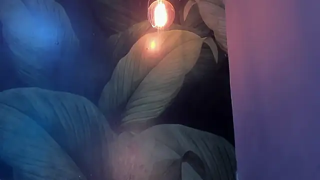 sweett dirty online show from 01.27.25