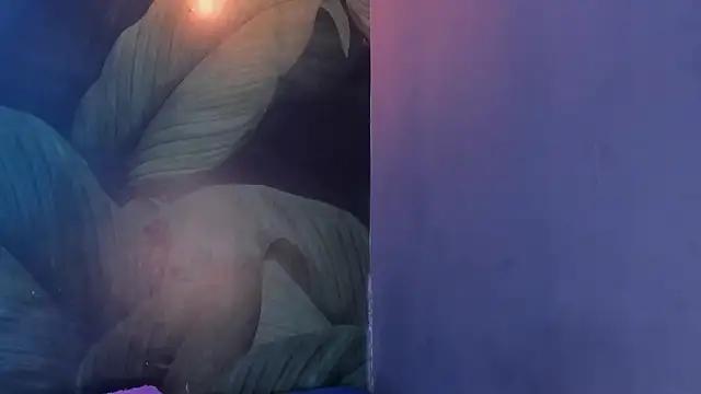 sweett dirty online show from 02.01.25