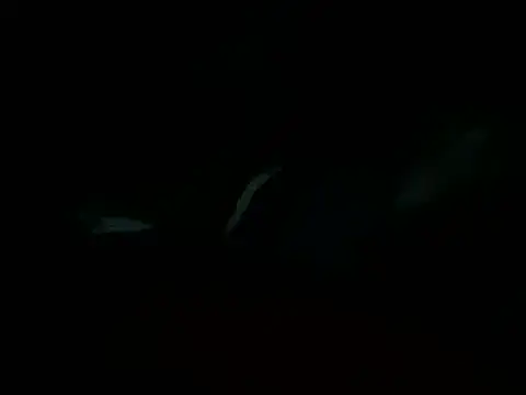 Billythekidd1978 online show from 03.22.25