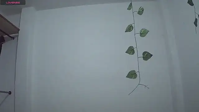 Snapshot of stephybrowm7 chatting on 10.28.25 stephybrowm7 online show from 10.28.25