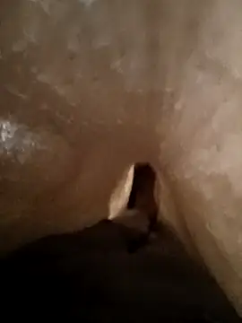 Shivaa- online show from 03.21.26