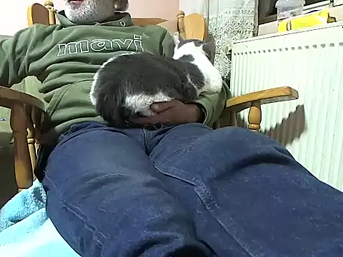 zormen355 online show from 11.13.25