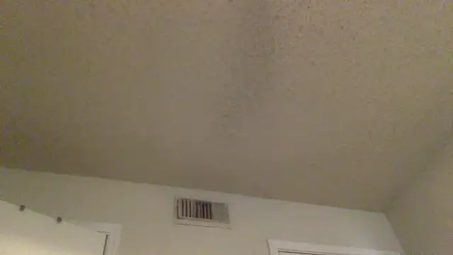 Snapshot of GForceSavage chatting on 02.25.26 GForceSavage online show from 02.25.26