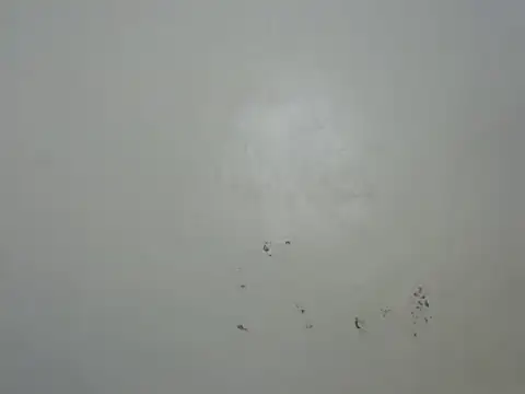 Snapshot of Rasta_tattooed chatting on 02.06.26 Rasta tattooed online show from 02.06.26