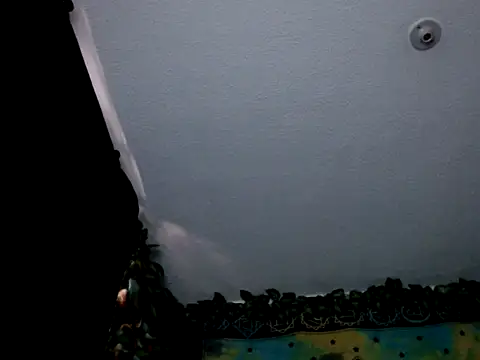 chanel 1041 online show from 01.03.25