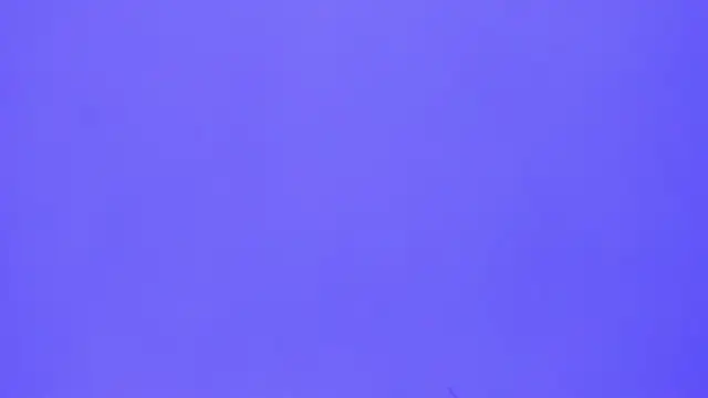 brenda sofia2 online show from 11.21.25