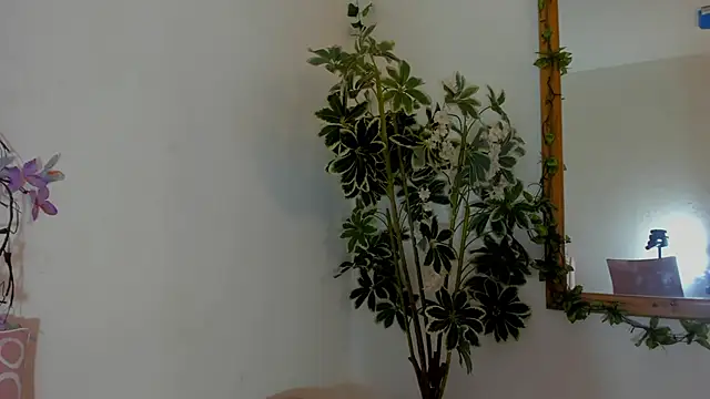 Snapshot of FaloonRoussel chatting on 06.22.26 FaloonRoussel online show from 06.22.26