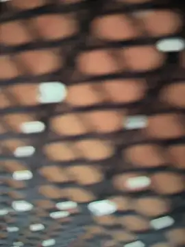 Snapshot of Rose-euphoria chatting on 11.05.25 Rose-euphoria online show from 11.05.25