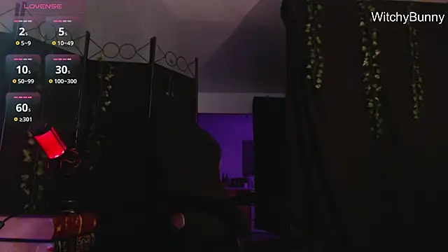 Snapshot of witchybunny chatting on 12.31.24 witchybunny online show from 12.31.24