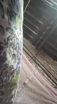 HotSexyBoudi online show from 12.21.24