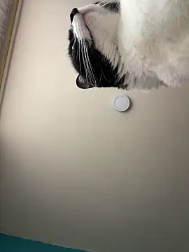 Kimmymadison- online show from 01.15.26