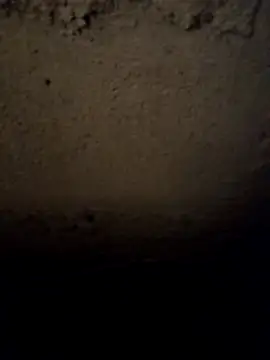 Snapshot of camila_picante chatting on 03.31.26 camila picante online show from 03.31.26