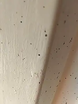 Snapshot of camila_picante chatting on 04.04.26 camila picante online show from 04.04.26