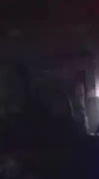 WilldoPita online show from 01.21.25