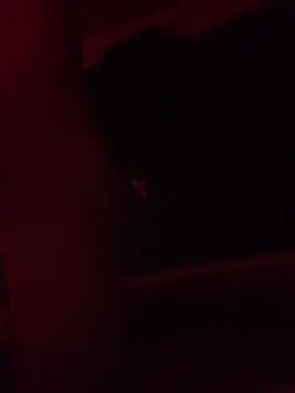 trash4cash online show from 02.09.25