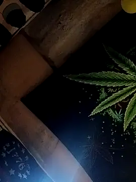 ySqmbVanbe online show from 10.17.25