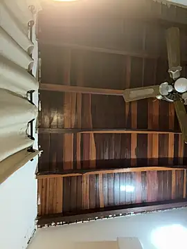 tom thick online show from 03.11.25