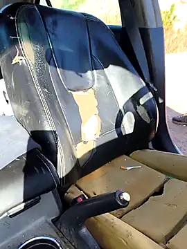 FloppyPickle4u online show from 03.09.26