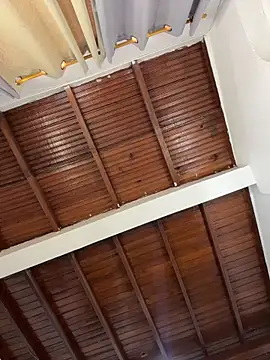 emiss  online show from 03.28.26