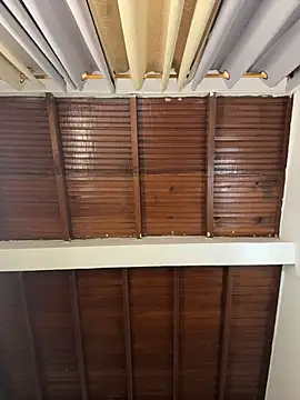 emiss  online show from 03.31.26