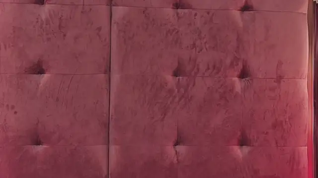 Snapshot of CeylanXO chatting on 02.15.25 CeylanXO online show from 02.15.25