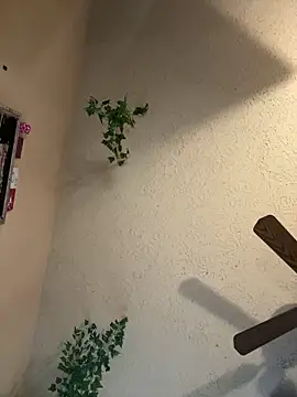 magicalc00ch online show from 03.16.25