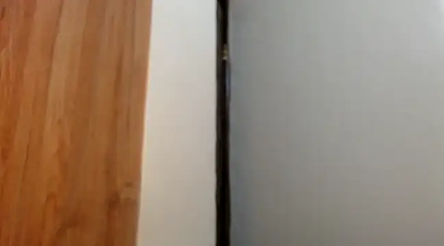 Snapshot of wetpussy_ebony chatting on 02.11.25 wetpussy ebony online show from 02.11.25